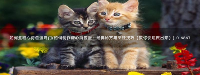糖心vlog该看糖心了