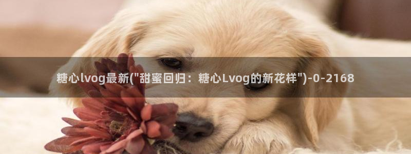 免费糖心.：糖心lvog最新(\