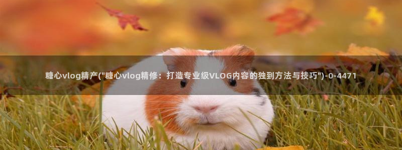糖心/