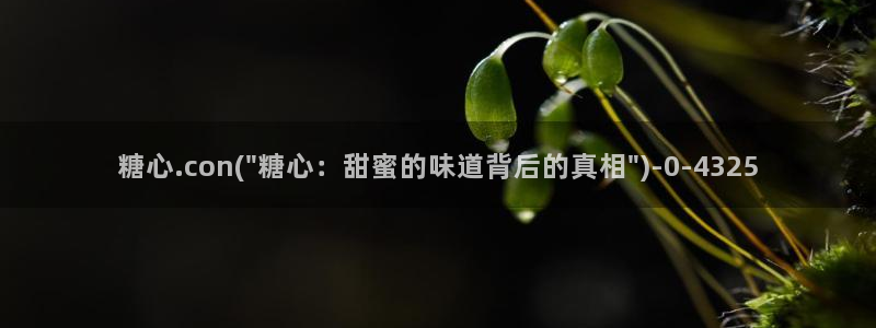 心糖vlogo