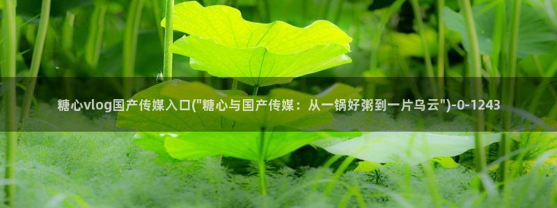 糖心vlgo国精产品